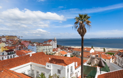 Video Services in Portugal 7